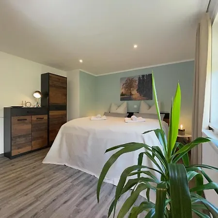 - Bergblick Apartment Klingenthal