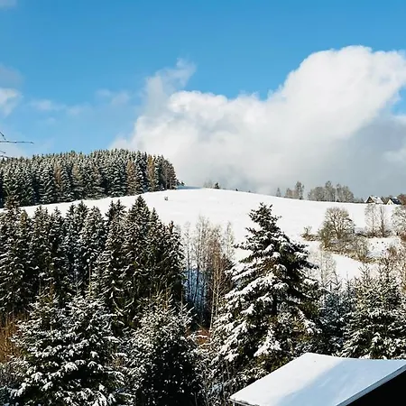 Lejlighed - Bergblick Klingenthal